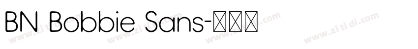 BN Bobbie Sans字体转换